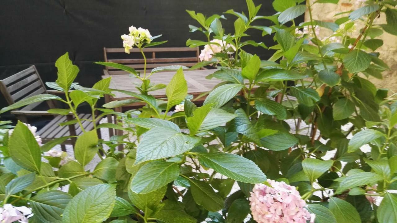 Apartamento Casa Deva *